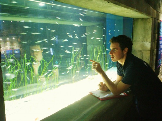Bristol Aquarium's Jake Graham undertaking fishy stock take (1900x1425)