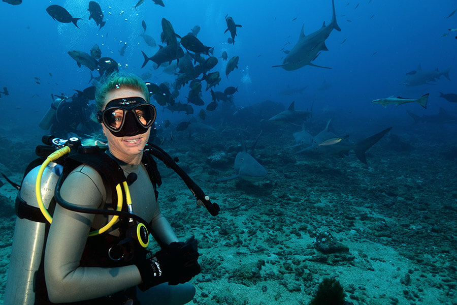 Filming wth sharks during the making of A Plastic Ocean