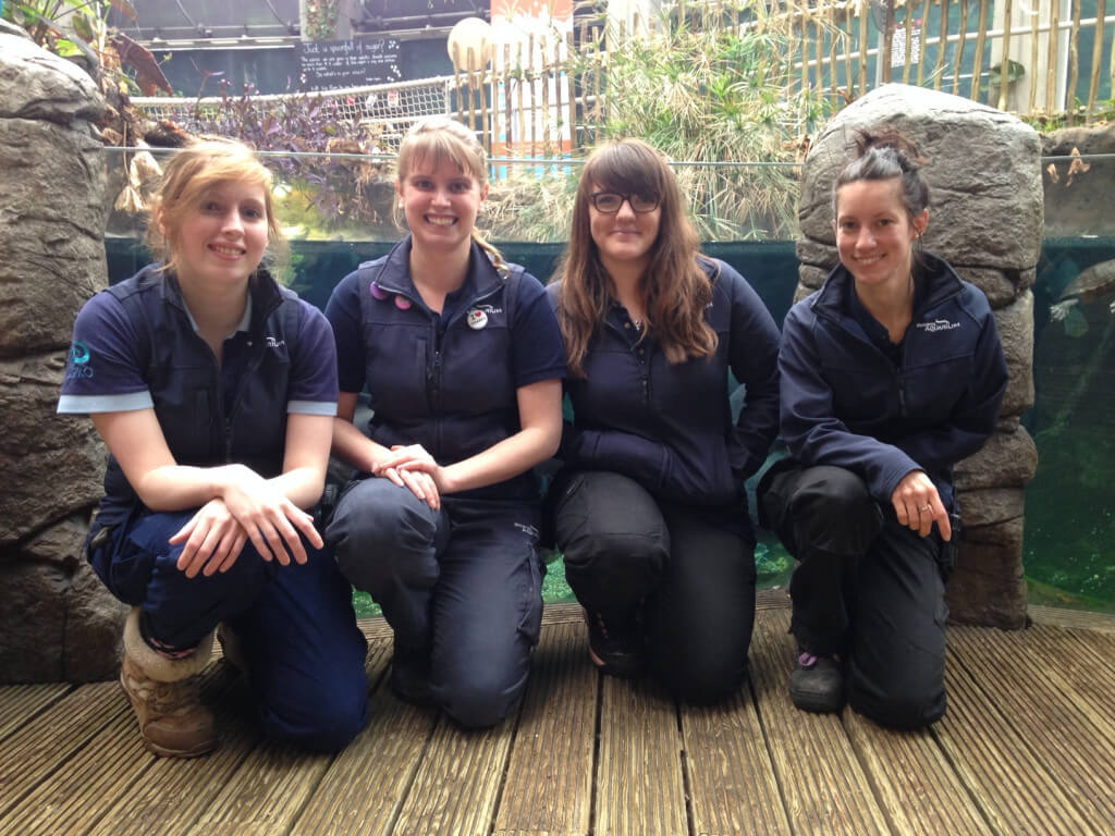 Aquarists at Bristol Aquarium