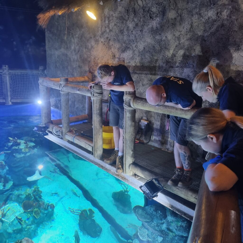 Aquarists at Bristol Aquarium