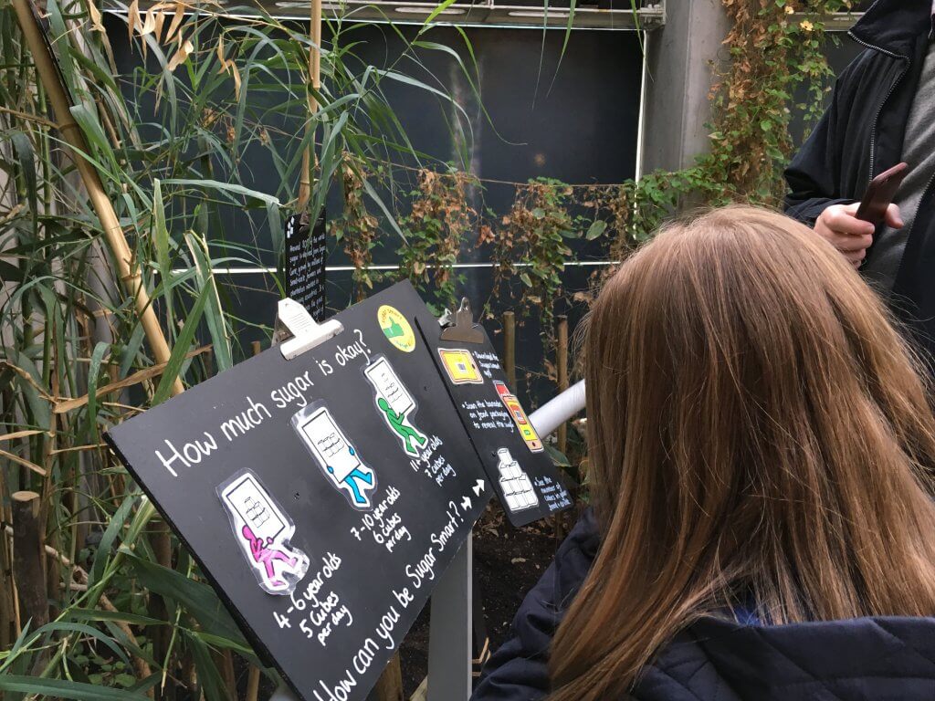 Visitors enjoying the Sugar Display at Bristol Aquarium