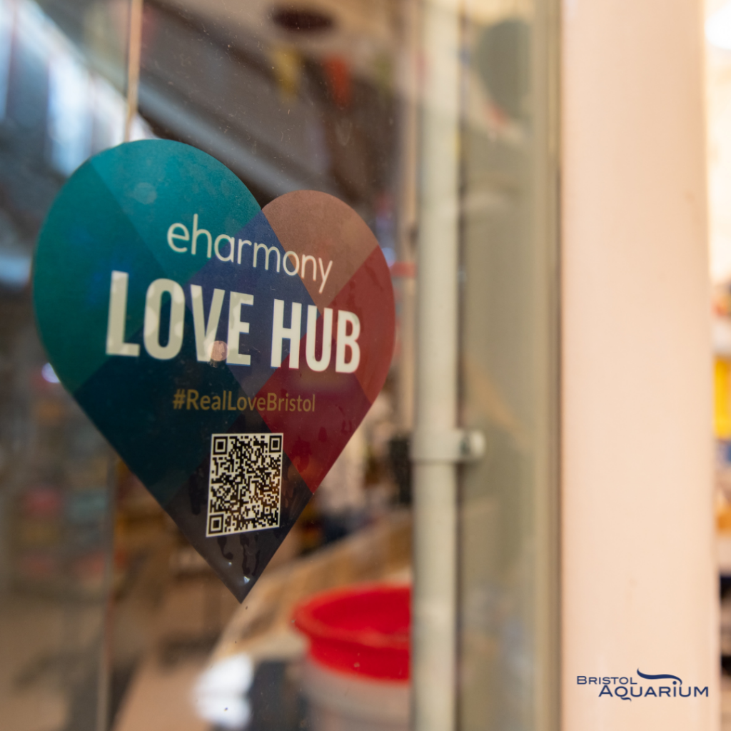 Love Hub Award Bristol eharmony